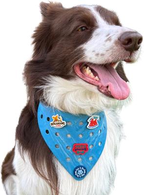 Show full view: WagAround Town Charmdana Waterproof Flexible Customizable Dog Bandana with Charms, Blue Wave, Large slide 2 of 9