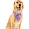 Show in main carousel: WagAround Town Charmdana Waterproof Flexible Customizable Dog Bandana with Charms, Violet, Large slide 2 of 9
