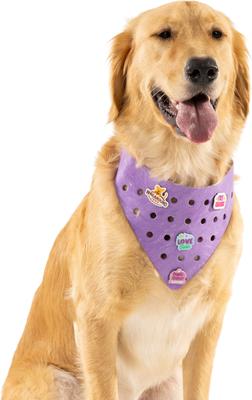 Show full view: WagAround Town Charmdana Waterproof Flexible Customizable Dog Bandana with Charms, Violet, Large slide 2 of 9