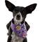Show in main carousel: WagAround Town Charmdana Waterproof Flexible Customizable Dog Bandana with Charms, Violet, Small slide 3 of 10