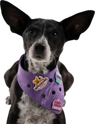Show full view: WagAround Town Charmdana Waterproof Flexible Customizable Dog Bandana with Charms, Violet, Small slide 3 of 10