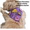 Show in main carousel: WagAround Town Charmdana Waterproof Flexible Customizable Dog Bandana with Charms, Violet, Small slide 8 of 10