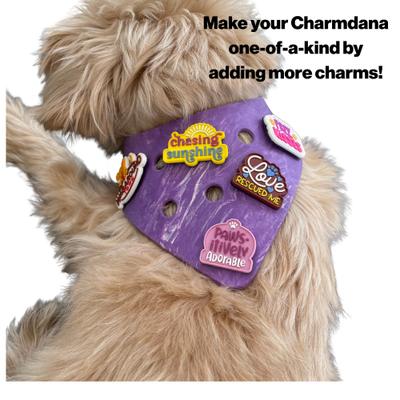 Show full view: WagAround Town Charmdana Waterproof Flexible Customizable Dog Bandana with Charms, Violet, Small slide 8 of 10