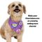 Show in main carousel: WagAround Town Charmdana Waterproof Flexible Customizable Dog Bandana with Charms, Violet, Small slide 7 of 10