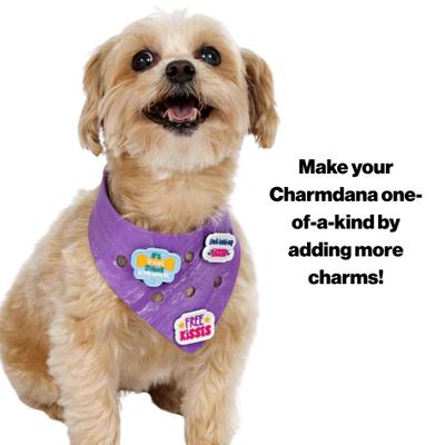 Show full view: WagAround Town Charmdana Waterproof Flexible Customizable Dog Bandana with Charms, Violet, Small slide 7 of 10
