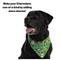 Show in main carousel: WagAround Town Charmdana Thanksgiving Waterproof Flexible Customizable Dog Bandana with Charms, Green, Small slide 10 of 10