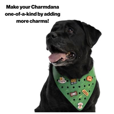 Show full view: WagAround Town Charmdana Thanksgiving Waterproof Flexible Customizable Dog Bandana with Charms, Green, Small slide 10 of 10