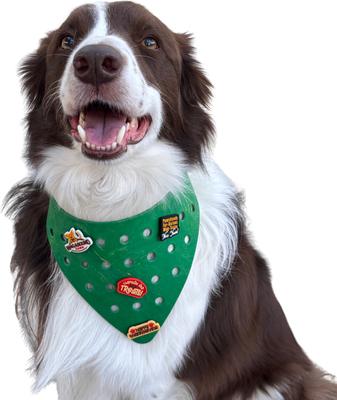 Show full view: WagAround Town Charmdana Thanksgiving Waterproof Flexible Customizable Dog Bandana with Charms, Green, Large slide 3 of 10