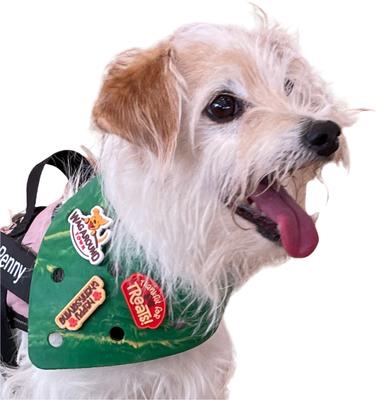 Show full view: WagAround Town Charmdana Thanksgiving Waterproof Flexible Customizable Dog Bandana with Charms, Green, Small slide 3 of 10