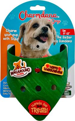 Show full view: WagAround Town Charmdana Thanksgiving Waterproof Flexible Customizable Dog Bandana with Charms, Green, Small slide 4 of 10