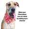 Show in main carousel: WagAround Town Charmdana 4th of July Waterproof Flexible Dog Bandana with Charms, Red, large slide 6 of 9