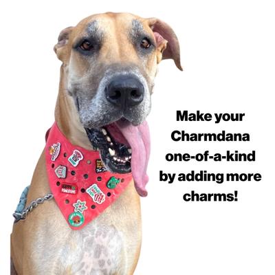 Show full view: WagAround Town Charmdana 4th of July Waterproof Flexible Dog Bandana with Charms, Red, large slide 6 of 9