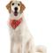 Show in main carousel: WagAround Town Charmdana Thanksgiving Waterproof Flexible Customizable Dog Bandana with Charms, Red, Large slide 2 of 9