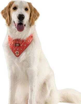Show full view: WagAround Town Charmdana Thanksgiving Waterproof Flexible Customizable Dog Bandana with Charms, Red, Large slide 2 of 9