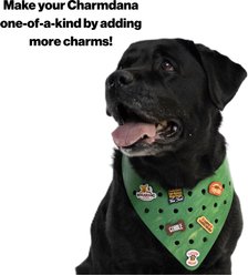 WagAround Town Charmdana Christmas Waterproof Flexible Customizable Dog Bandana with Charms, Green, Large slide 2 of 9