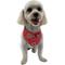 Show in main carousel: WagAround Town Charmdana Thanksgiving Waterproof Flexible Customizable Dog Bandana with Charms, Red, Small slide 2 of 9