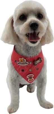 Show full view: WagAround Town Charmdana Thanksgiving Waterproof Flexible Customizable Dog Bandana with Charms, Red, Small slide 2 of 9