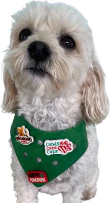 Show full view: WagAround Town Charmdana Christmas Waterproof Flexible Customizable Dog Bandana with Charms, Green, Small slide 2 of 10