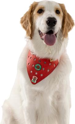 Show full view: WagAround Town Charmdana Christmas Waterproof Flexible Customizable Dog Bandana with Charms, Red, Large slide 2 of 10