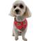 Show in main carousel: WagAround Town Charmdana Christmas Waterproof Flexible Customizable Dog Bandana with Charms, Red, Small slide 2 of 10