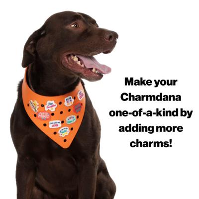 Show full view: WagAround Town Charmdana Halloween Waterproof Flexible Customizable Dog Bandana with Charms Wicked Cute/Happy Halloween, Orange, Large slide 9 of 9