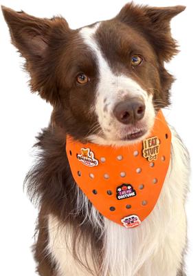 Show full view: WagAround Town Charmdana Halloween Waterproof Flexible Customizable Dog Bandana with Charms Here for Treats/Ate My Costume, Orange, Large slide 2 of 9