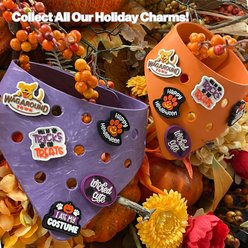 WagAround Town Charmdana Halloween Waterproof Flexible Customizable Dog Bandana with Charms Here for Treats/Ate My Costume, Orange, Small slide 2 of 9