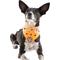 Show in main carousel: WagAround Town Charmdana Halloween Waterproof Flexible Customizable Dog Bandana with Charms Here for Treats/Ate My Costume, Orange, Small slide 2 of 9