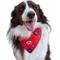 Show in main carousel: WagAround Town Charmdana 4th of July Waterproof Flexible Dog Bandana with Charms, Red, large slide 2 of 9