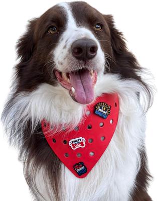 Show full view: WagAround Town Charmdana 4th of July Waterproof Flexible Dog Bandana with Charms, Red, large slide 2 of 9