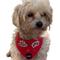 Show in main carousel: WagAround Town Charmdana 4th of July Waterproof Flexible Dog Bandana with Charms, Red, Small slide 4 of 9