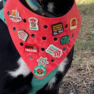 Show full view: WagAround Town Wag-Witty Dog Bandana Charms New Year/ Broke My Resolutions Holiday Dog Accessories slide 5 of 8