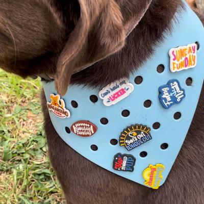 Show full view: WagAround Town Wag-Witty Dog Bandana Charms Its My Bday/Cant Hold My Licker slide 5 of 7