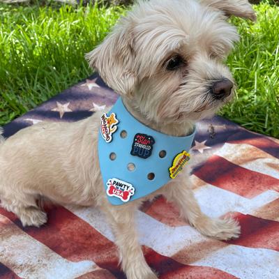 Show full view: WagAround Town Wag-Witty Dog Bandana Charms Pawty in the USA/Star Spangled Pup slide 2 of 6