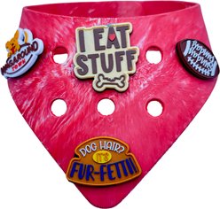 WagAround Town Wag-Witty Dog Bandana Charms Sunday Funday/Bad Decisions slide 2 of 5