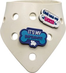 WagAround Town Wag-Witty Dog Bandana Charms Its My Bday/Cant Hold My Licker