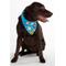 Show in main carousel: WagAround Town Wag-Witty Dog Bandana Charms So Spoiled/Smooch Bday Pooch slide 7 of 7