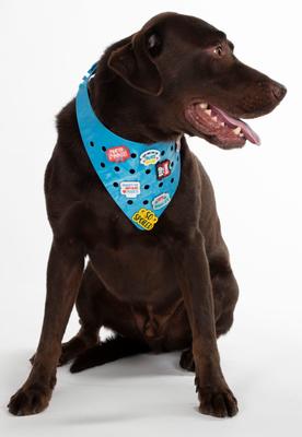 Show full view: WagAround Town Wag-Witty Dog Bandana Charms So Spoiled/Smooch Bday Pooch slide 7 of 7