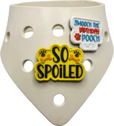 WagAround Town Wag-Witty Dog Bandana Charms So Spoiled/Smooch Bday Pooch