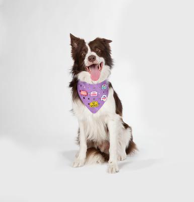 Show full view: WagAround Town Wag-Witty Dog Bandana Charms So Spoiled/Smooch Bday Pooch slide 2 of 7