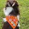 Show in main carousel: WagAround Town Wag-Witty Dog Bandana Charms Stay Pawsitive/Pawoffice slide 5 of 8