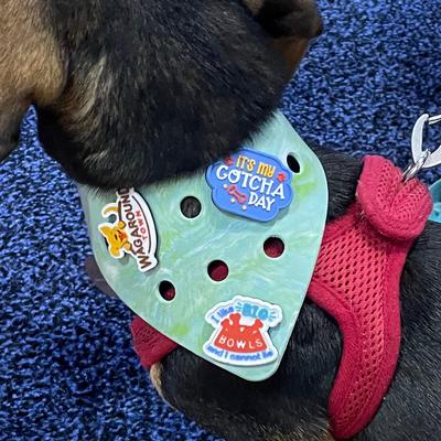 Show full view: WagAround Town Wag-Witty Dog Bandana Charms Treat O'Clock/Gotcha Day slide 2 of 7