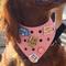 Show in main carousel: WagAround Town Wag-Witty Dog Bandana Charms Pet Me/Party Pooch slide 6 of 8