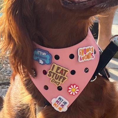 Show full view: WagAround Town Wag-Witty Dog Bandana Charms Pet Me/Party Pooch slide 6 of 8