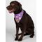 Show in main carousel: WagAround Town Wag-Witty Dog Bandana Charms Lets Pawty/Fetch It Yourself slide 2 of 8