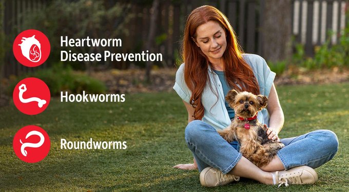 Heartgard Plus Chew for Dogs, 26-50 lbs, (Green Box)