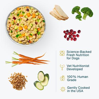 Show full view: JustFoodForDogs Turkey & Whole Wheat Macaroni Recipe Frozen Human-Grade Fresh Dog Food, 18-oz pouch, case of 14 slide 4 of 12