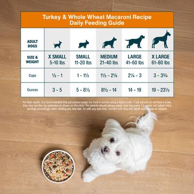 Show full view: JustFoodForDogs Turkey & Whole Wheat Macaroni Recipe Frozen Human-Grade Fresh Dog Food, 18-oz pouch, case of 14 slide 10 of 12