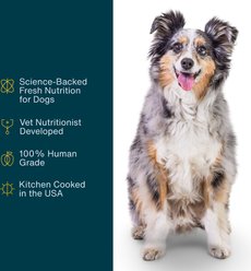 JustFoodForDogs Puppy Variety Pack Fish & Chicken Fresh Puppy Food, 18-oz pouch, case of 7   slide 2 of 8