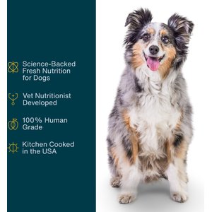 JustFoodForDogs Sampler Variety Box Frozen Human-Grade Fresh Dog Food, 18-oz pouch, case of 7